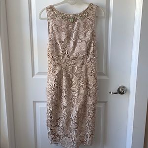 Adrianna papell champagne lace dress